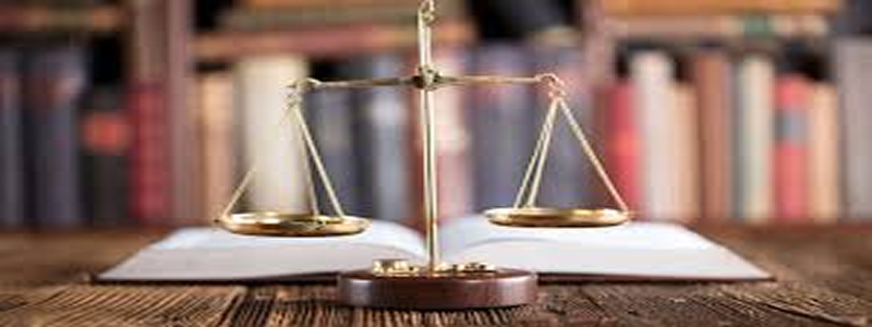 More Than Legal Advice - A Support System for You